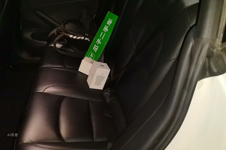 Tesla Model 3 2020 car image #19
