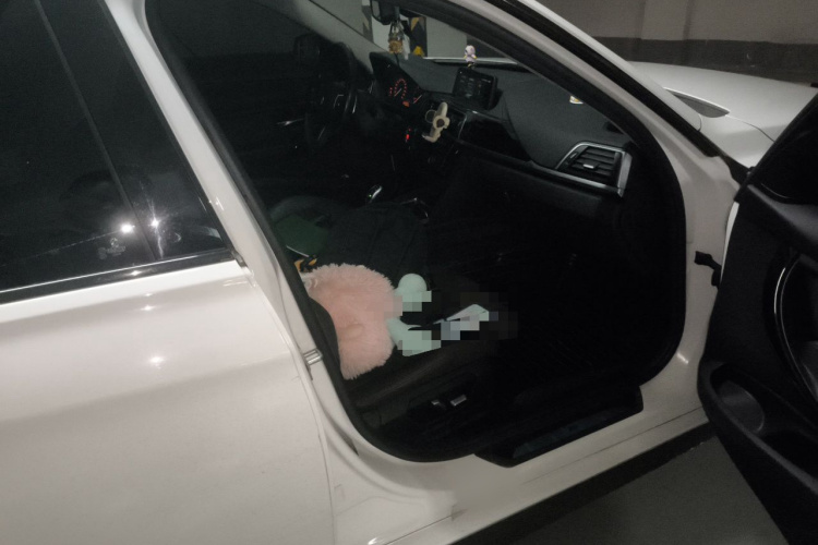 BMW 3 Series 2018 car image #27