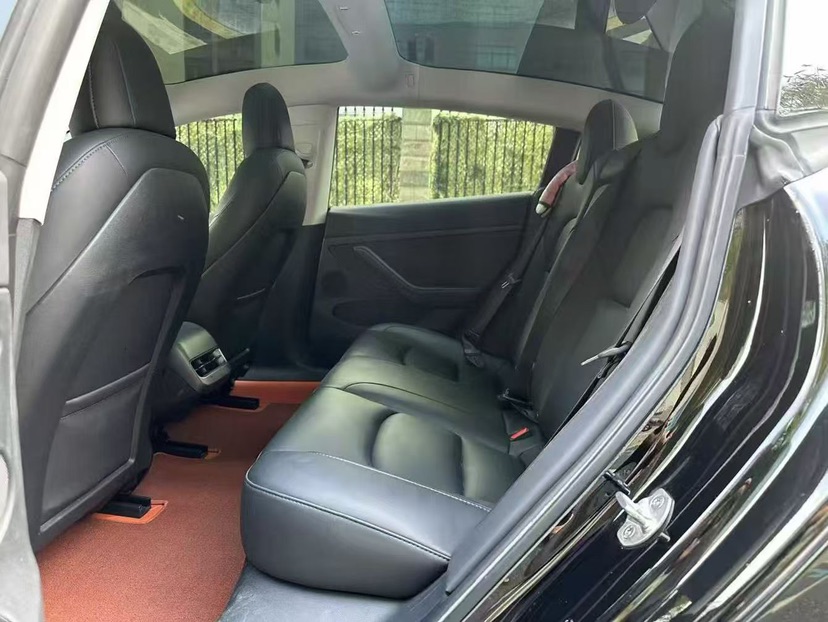 Tesla Model 3 2021 car image #8