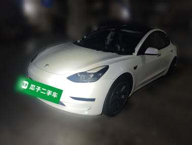 Tesla Model 3 2022 Tesla Model 3 2022 immagine di auto