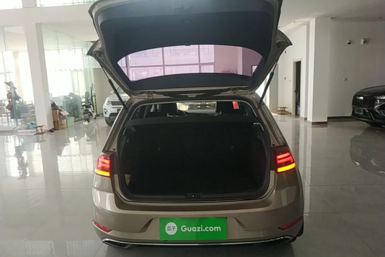 Volkswagen Golf 2019 car image #19