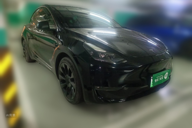 Tesla Model Y 2021 car image #4