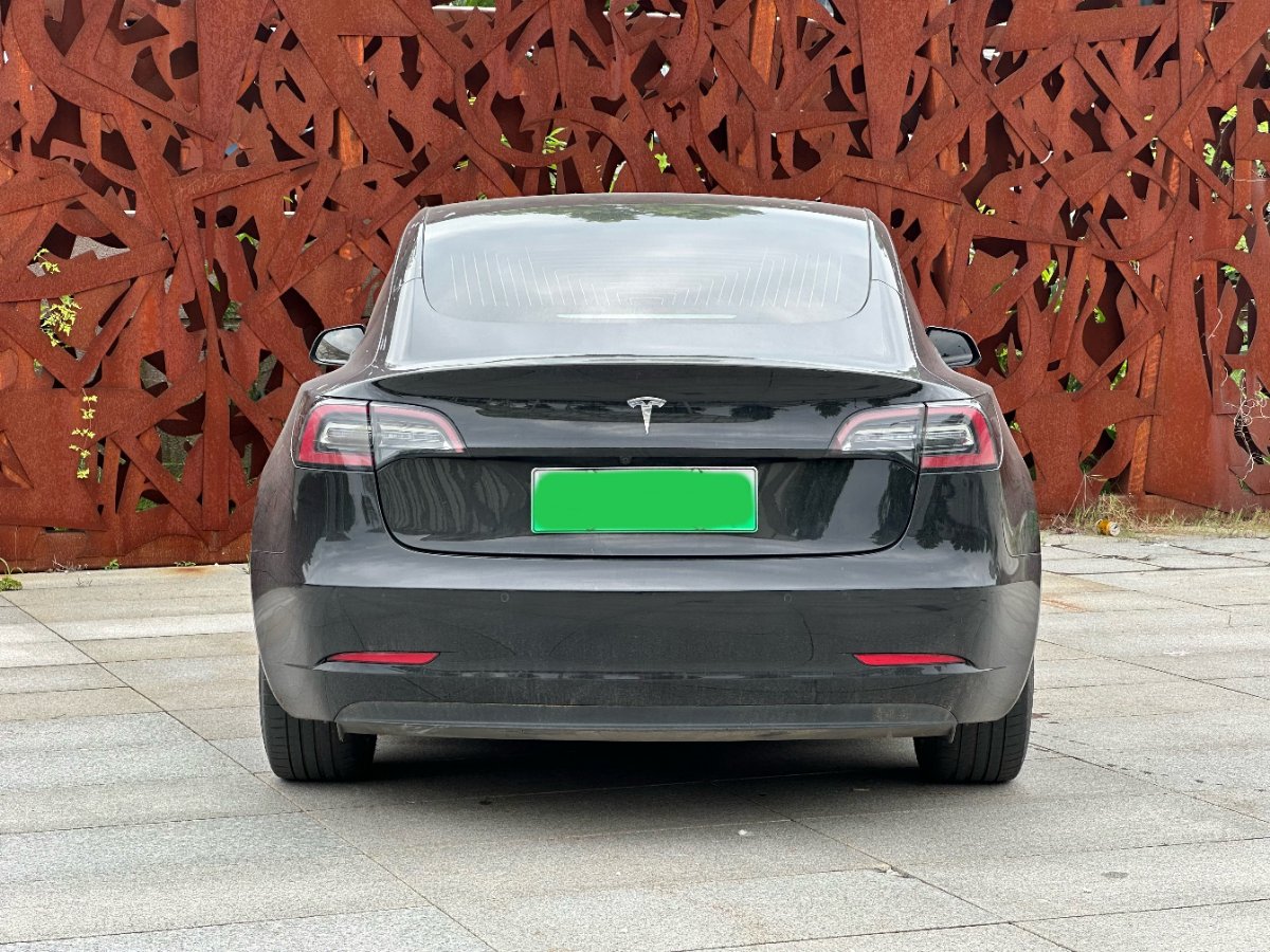 Tesla Model 3 2020 car image #6
