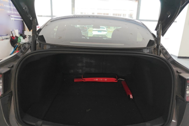 Tesla Model 3 2021 car image #19