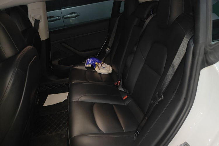 Tesla Model 3 2021 car image #10