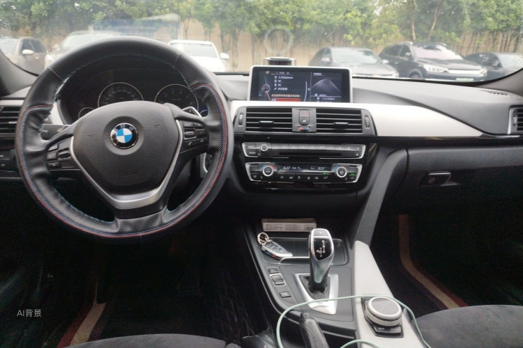 BMW 3 Series 2017 car image #11