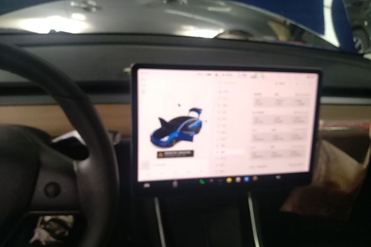 Tesla Model 3 2020 car image #13