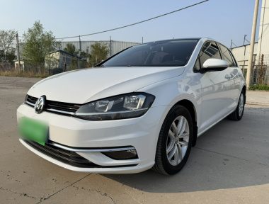 Volkswagen Golf 2019 Volkswagen Golf 2019 car image