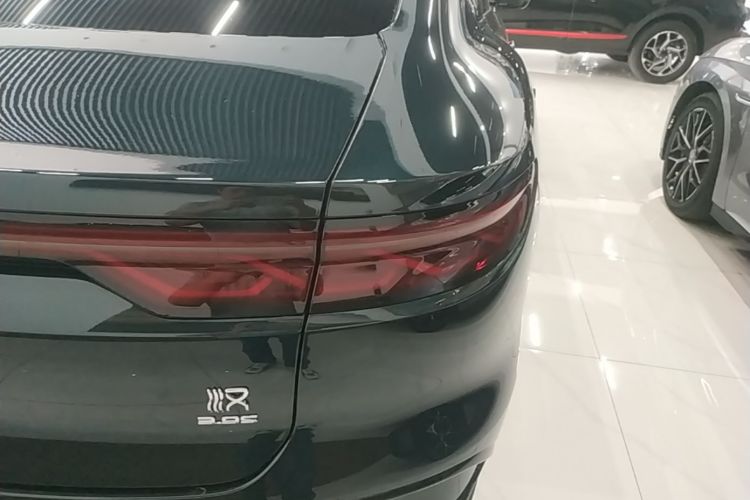 BYD Han 2022 #8 BYD Han 2022 immagine di auto #8