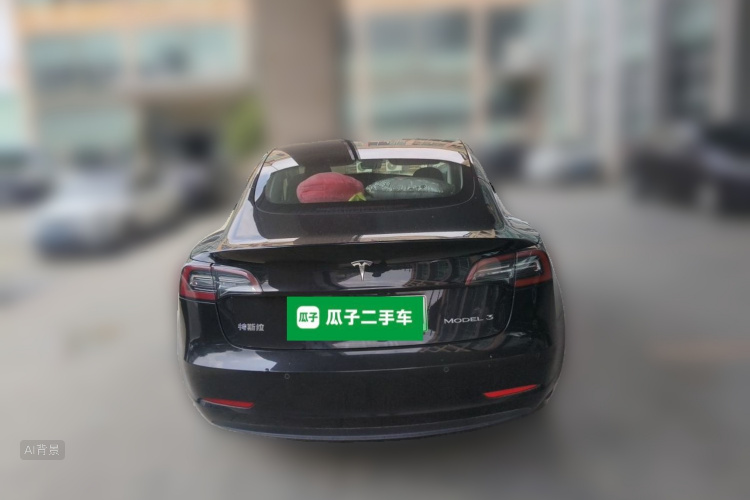 Tesla Model 3 2021 car image #6
