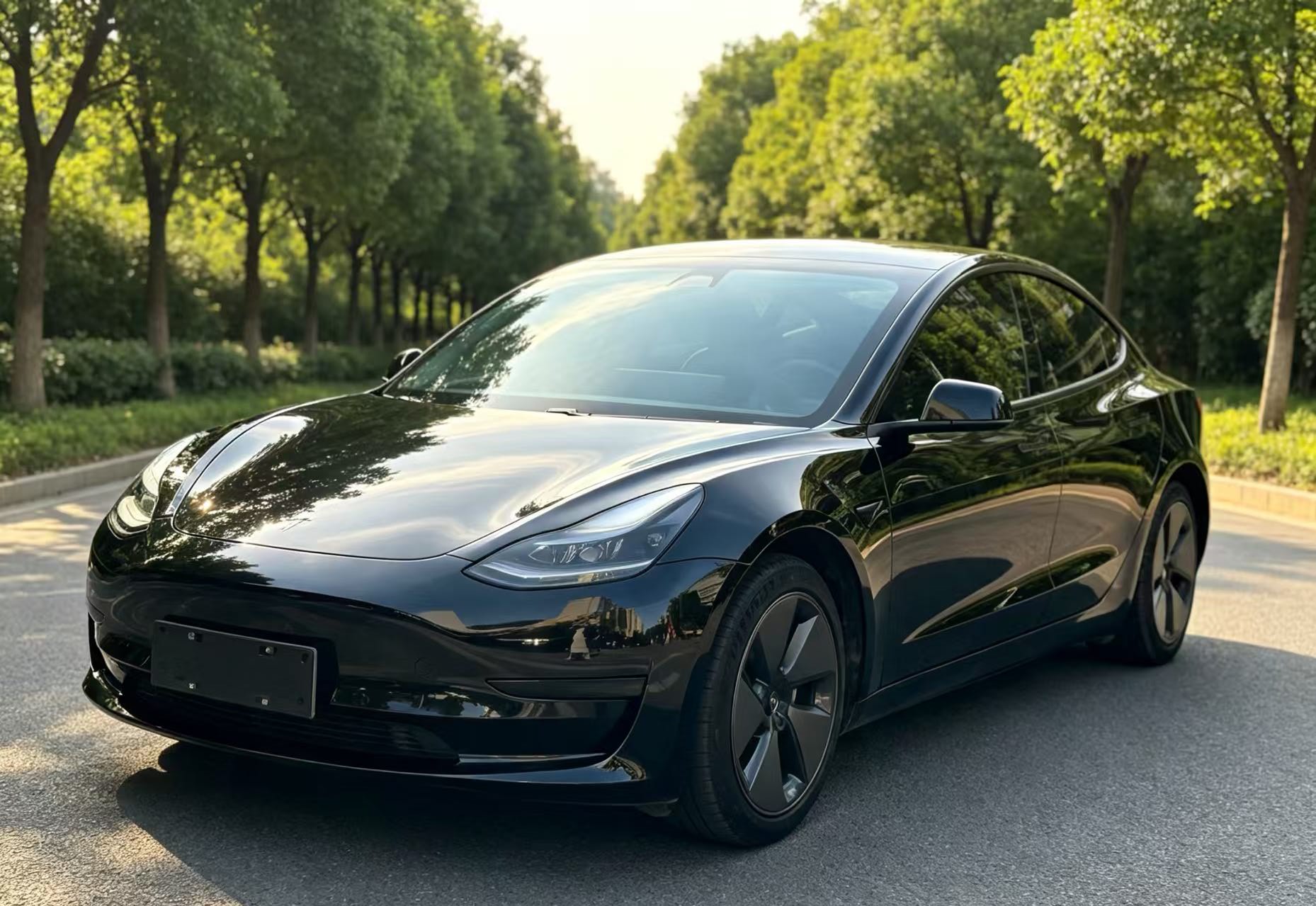 Tesla Model 3 2021 Tesla Model 3 2021 car image