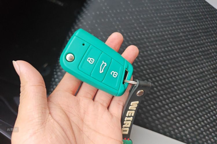 大众 探影 2022 汽车图片 #10