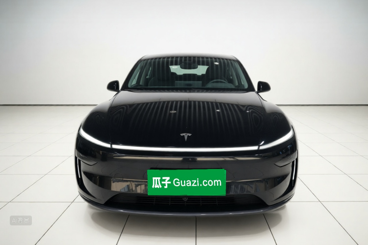 Tesla Model Y 2025 car image #3