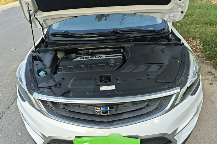 GEELY Emgrand GS 2017 car image #20
