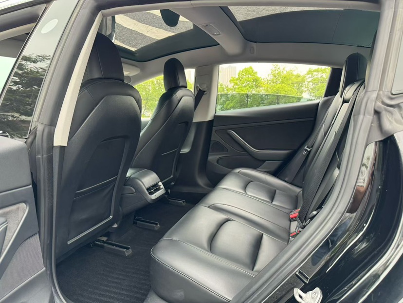 Tesla Model 3 2020 #6 Tesla Model 3 2020 car image #6