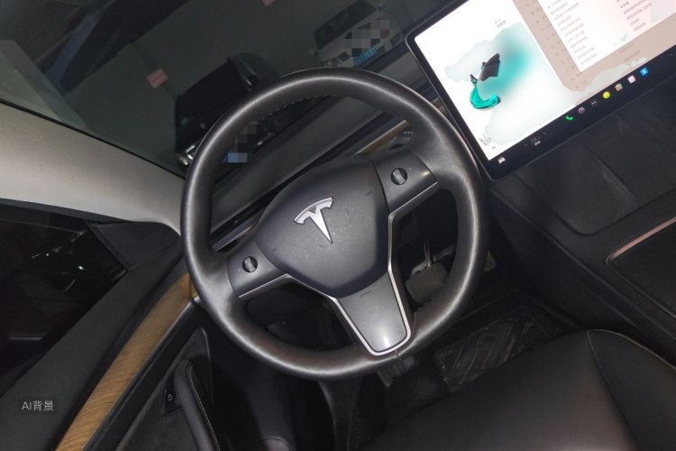 Tesla Model 3 2021 immagine di auto #12