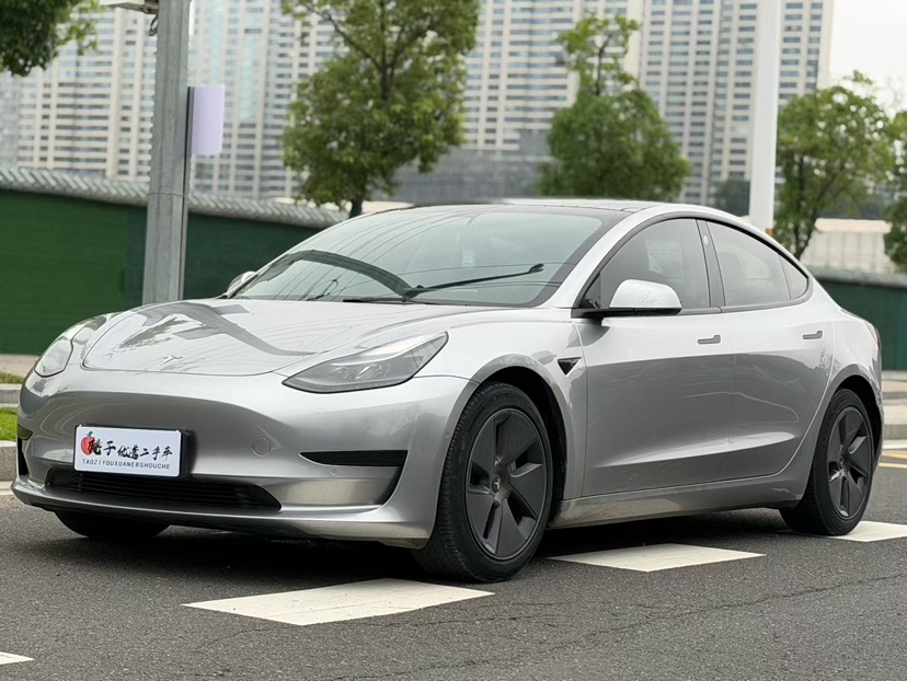 Tesla Model 3 2021 Tesla Model 3 2021 car image