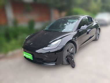 Tesla Model 3 2022 car image 