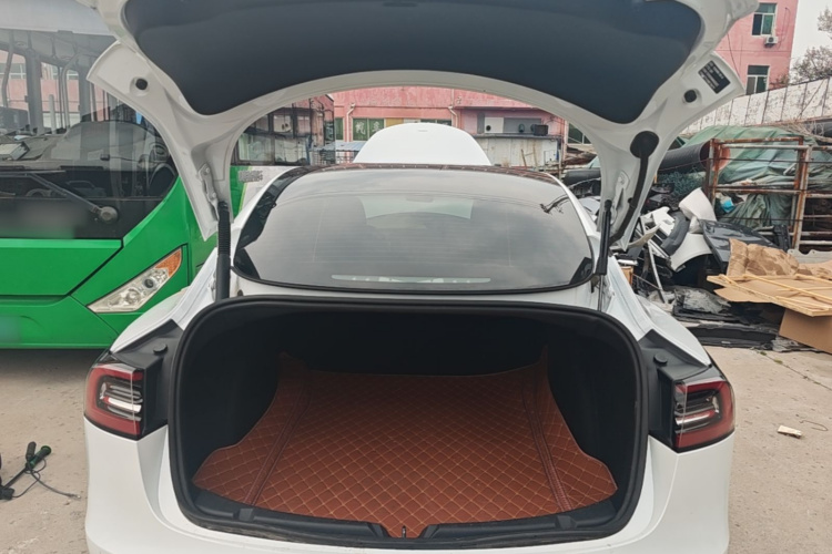 Tesla Model 3 2021 car image #19