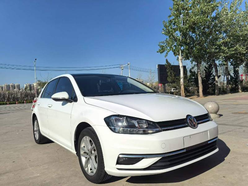 Volkswagen Golf 2019 #3 Volkswagen Golf 2019 car image #3