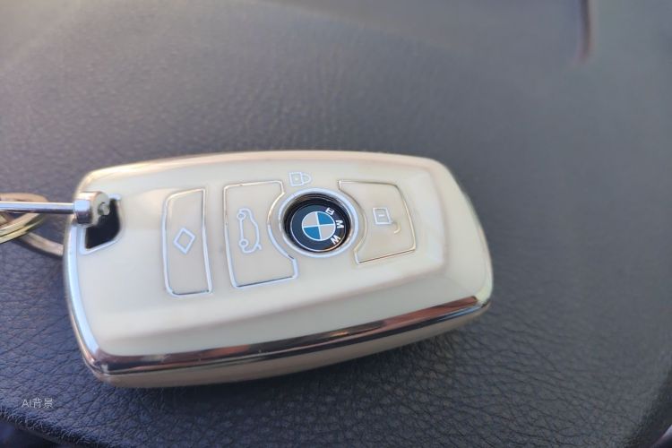 BMW 3 Series 2017 car image #10