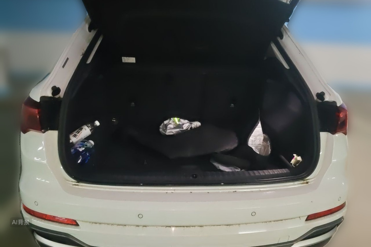 Audi Q3 2021 car image #21