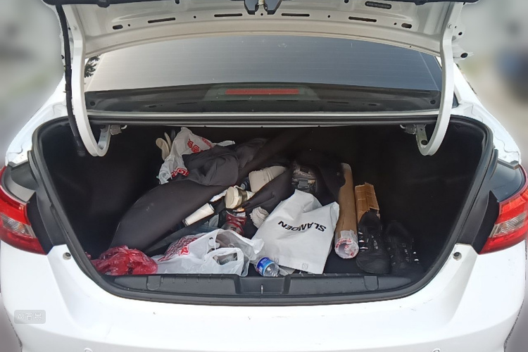 Chery Arrizo 5 2016 car image #21