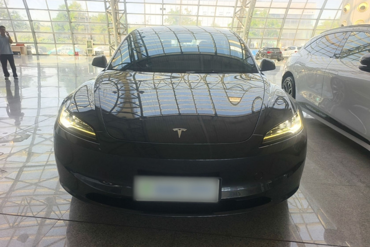 Tesla Model 3 2024 immagine di auto #3