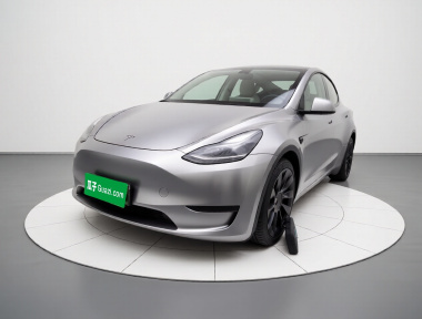 Tesla Model Y 2021 Tesla Model Y 2021 car image