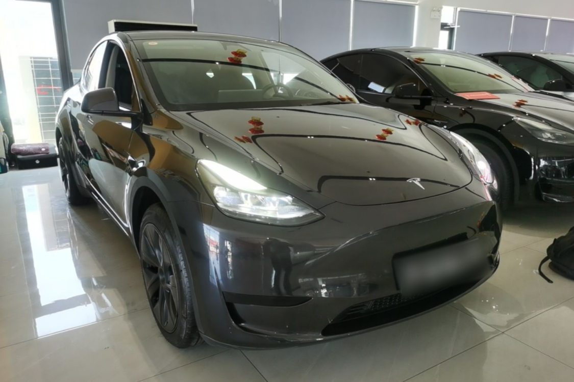 Tesla Model Y 2024 #2 Tesla Model Y 2024 car image #2