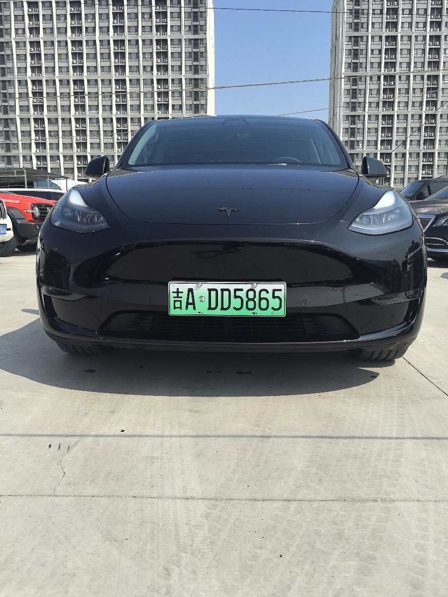 Tesla Model Y 2021 car image #2