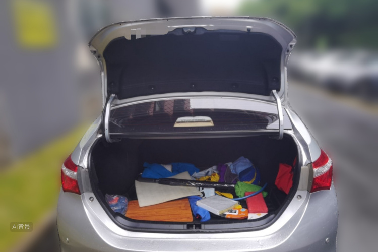 2016 #21 2016 car image #21
