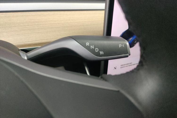 Tesla Model 3 2020 immagine di auto #14