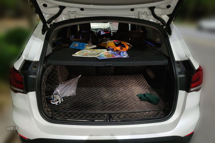BMW X1 2021 car image #21