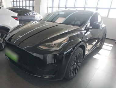 Tesla Model Y 2023 car image 