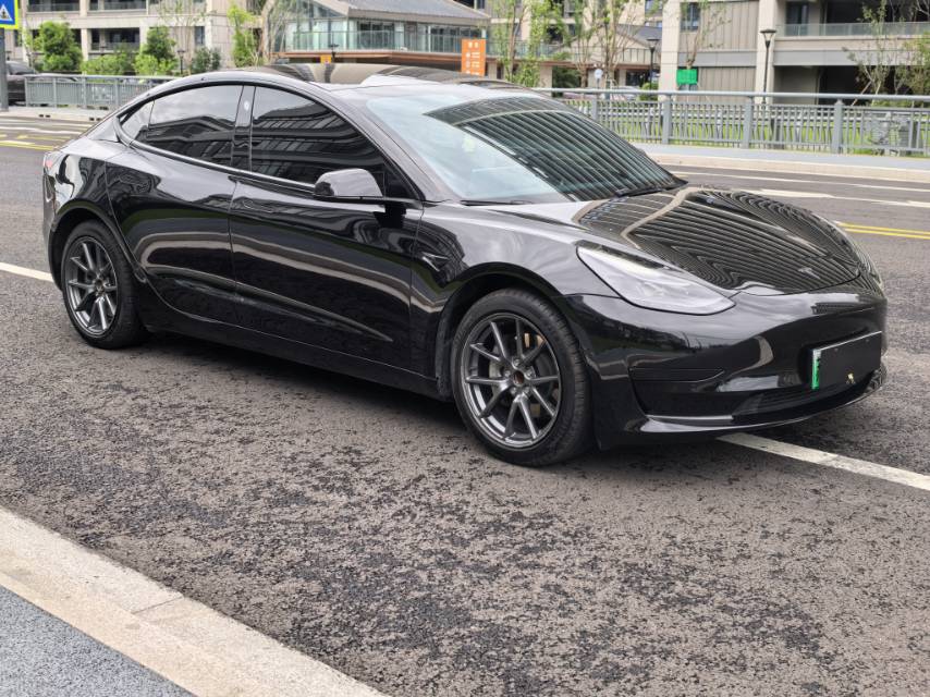 Tesla Model 3 2021 #3 Tesla Model 3 2021 car image #3