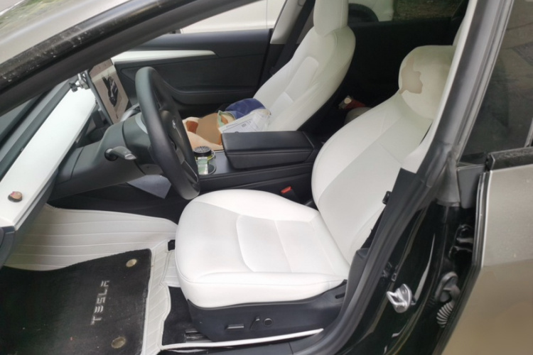 Tesla Model 3 2022 #9 Tesla Model 3 2022 immagine di auto #9