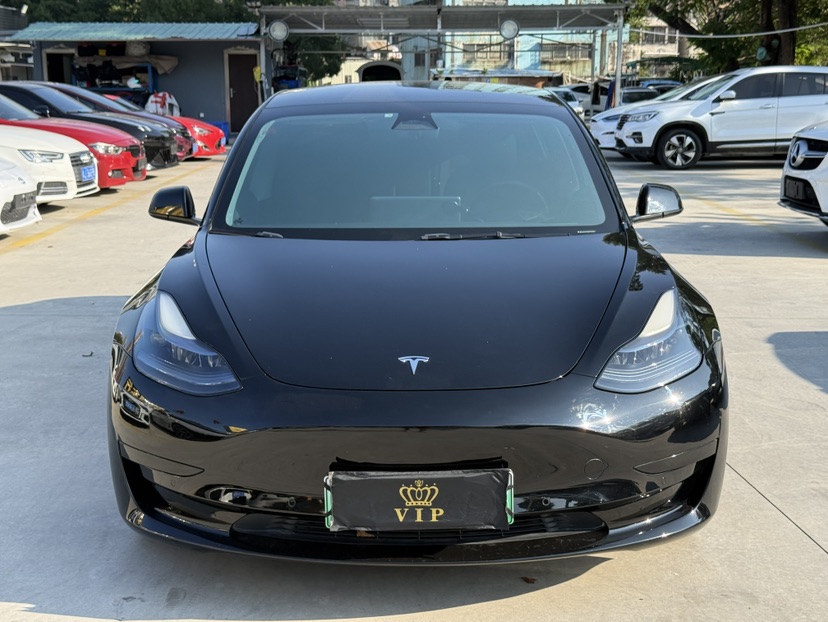 Tesla Model 3 2023 #2 Tesla Model 3 2023 car image #2