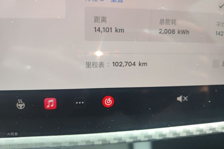Tesla Model 3 2022 car image #14