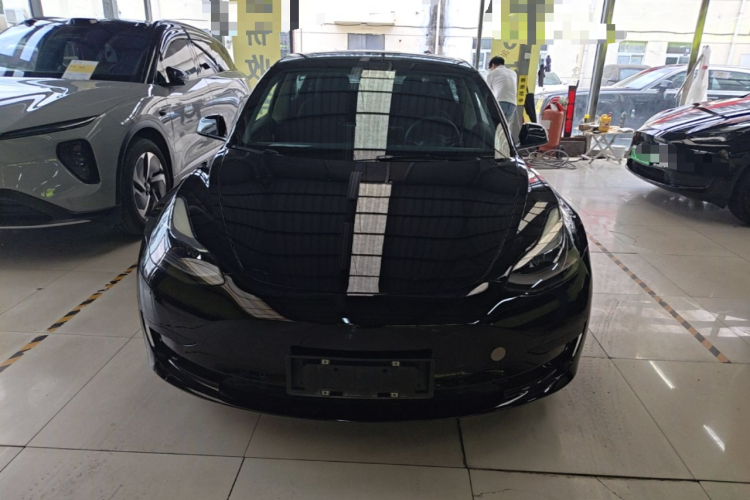 Tesla Model 3 2021 #3 Tesla Model 3 2021 car image #3