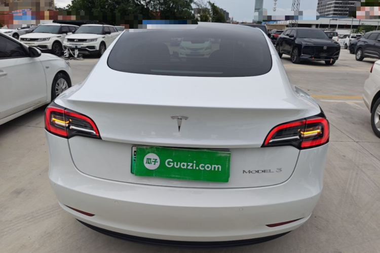 Tesla Model 3 2021 car image #6