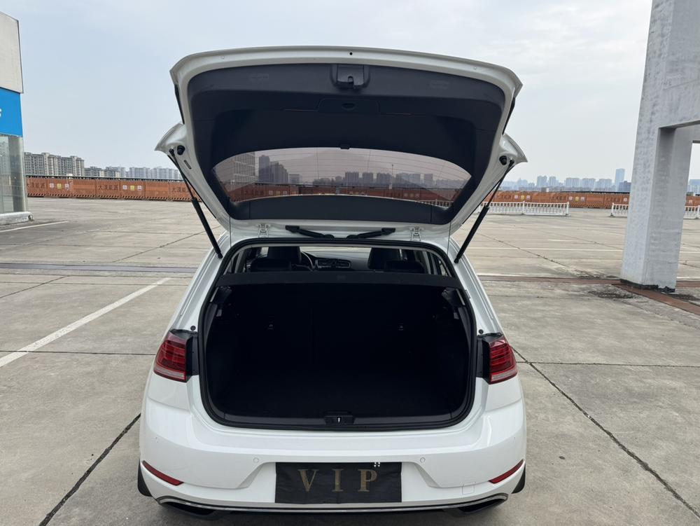 Volkswagen Golf 2019 #17 Volkswagen Golf 2019 car image #17