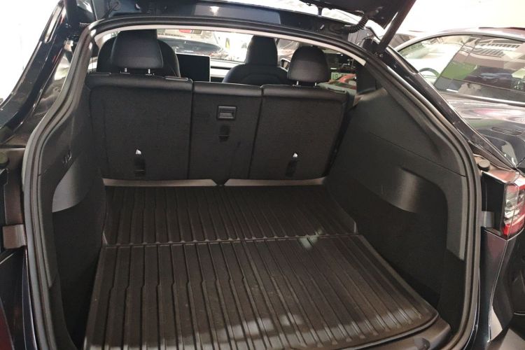 Tesla Model Y 2024 car image #19