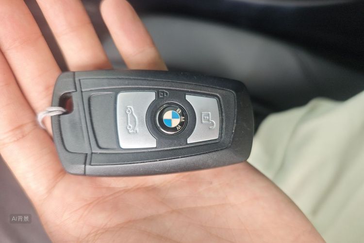 BMW 3 Series 2017 car image #10