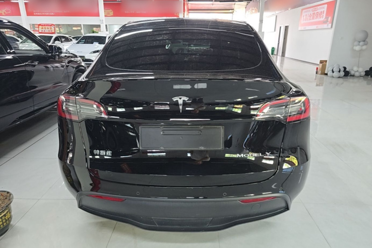 Tesla Model Y 2022 #6 Tesla Model Y 2022 car image #6