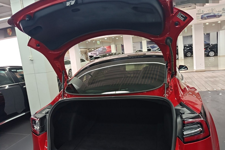Tesla Model 3 2020 immagine di auto #19