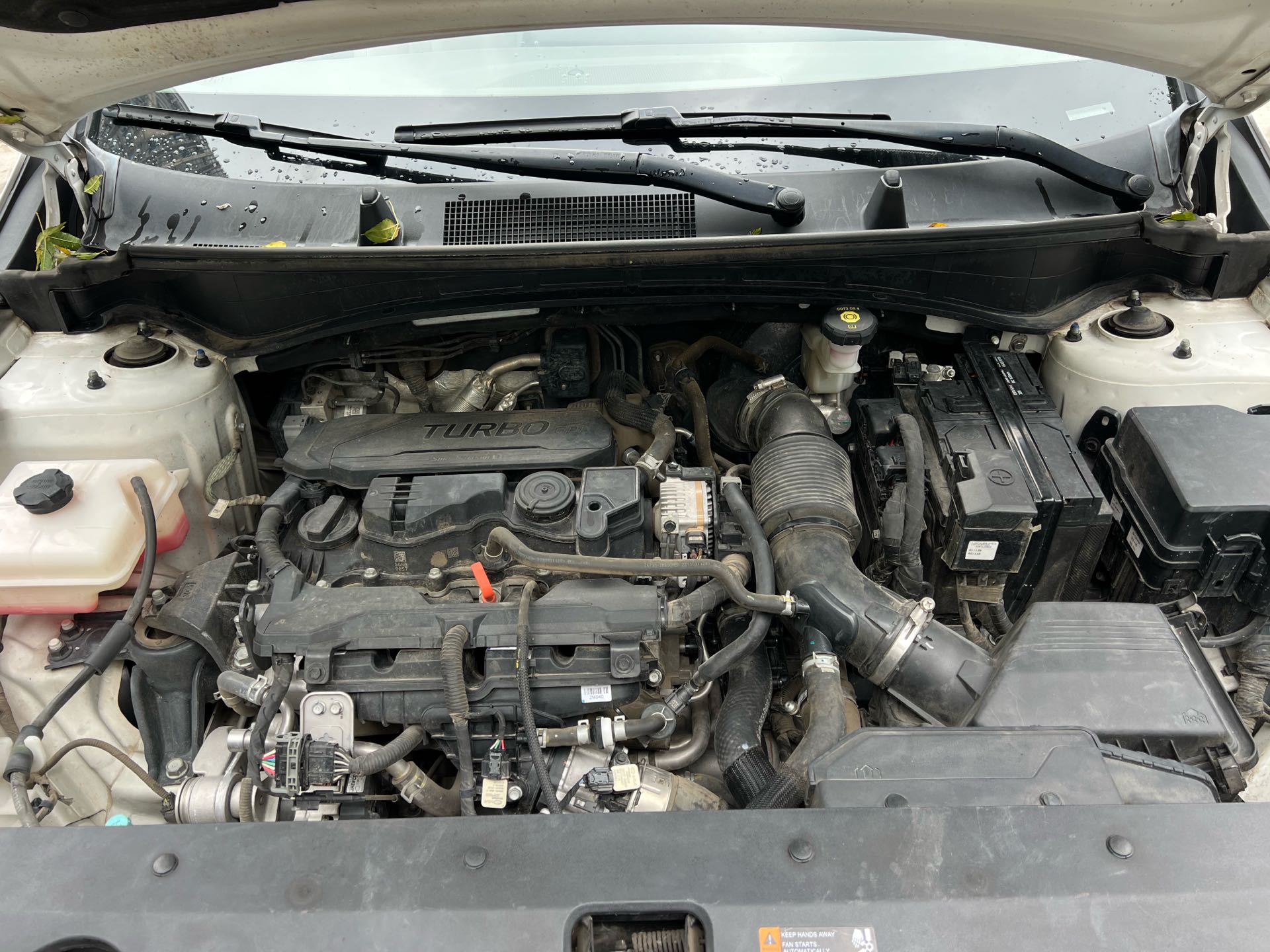Kia Sportage 2024 imagem de carro #5