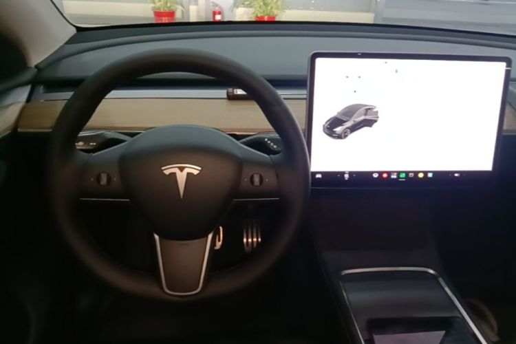 Tesla Model Y 2021 car image #11