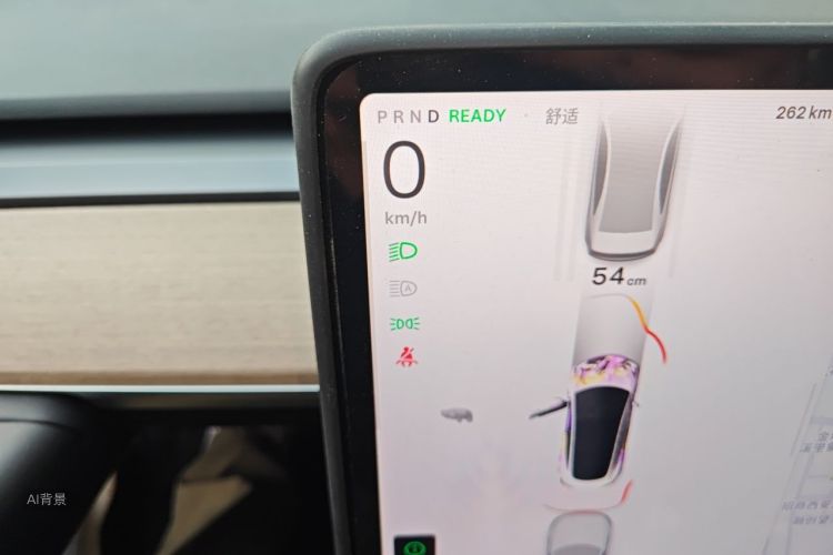 Tesla Model 3 2022 #13 Tesla Model 3 2022 car image #13