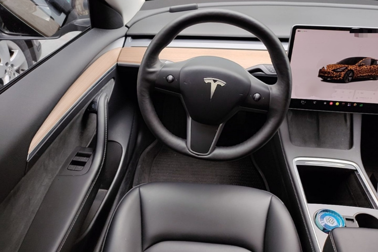 Tesla Model 3 2022 #11 Tesla Model 3 2022 car image #11
